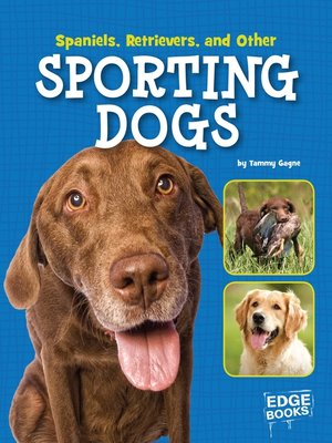 cover image of Spaniels, Retrievers, and Other Sporting Dogs